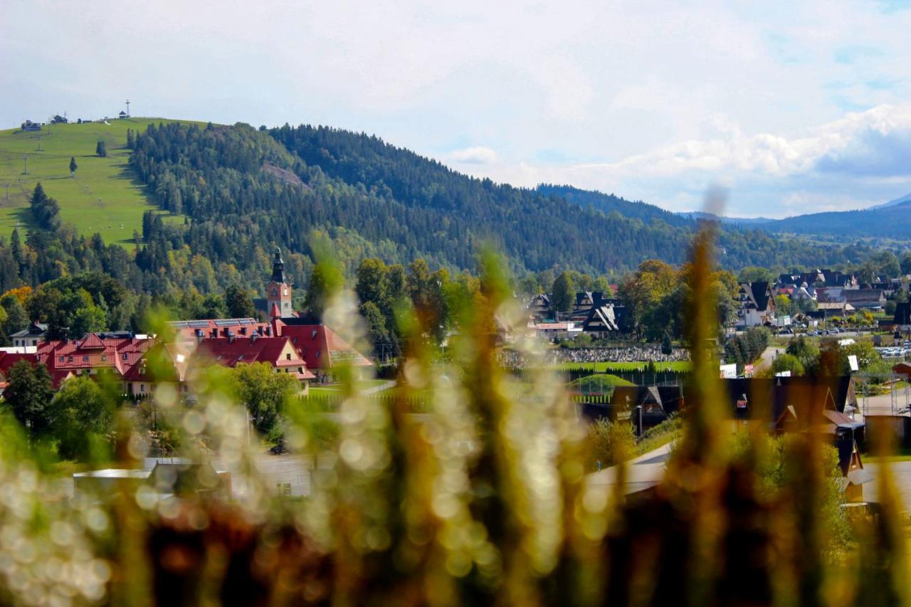 Domki W Bialce Pod Kotelnica Bialka Tatrzanska Exterior foto