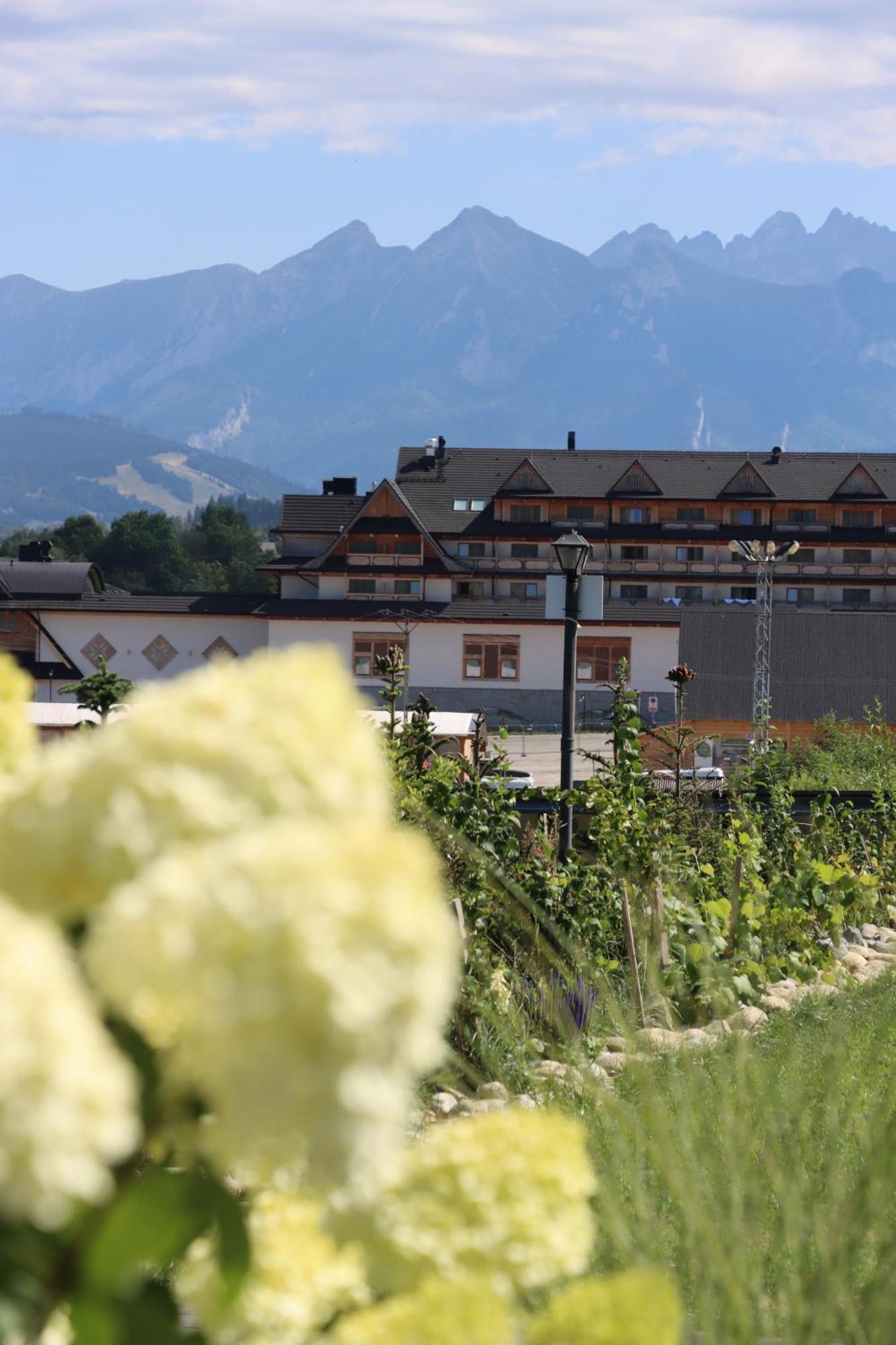 Domki W Bialce Pod Kotelnica Bialka Tatrzanska Exterior foto